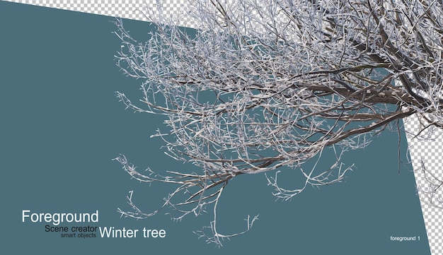 Verschillende winter bomen ontwerp geïsoleerd