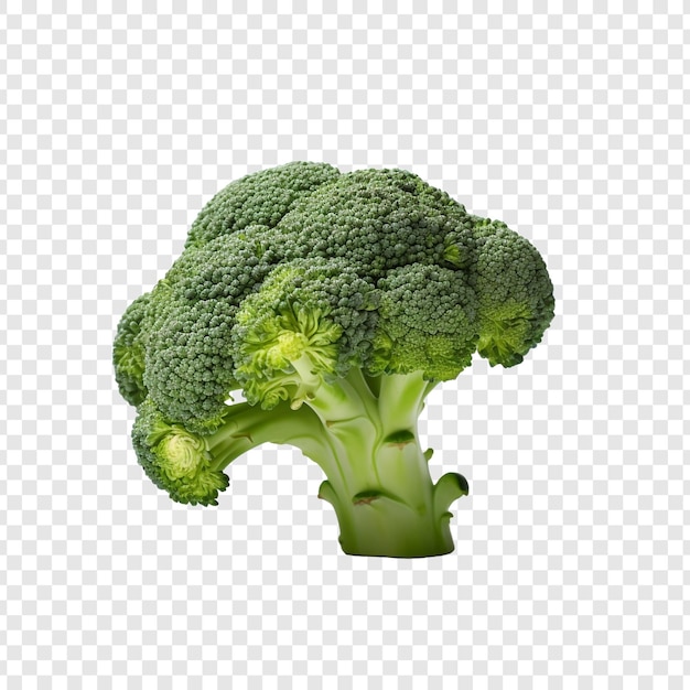 Gratis PSD verse broccoli geïsoleerd op transparante achtergrond