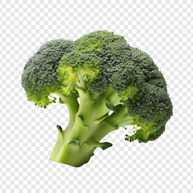 Verse broccoli geïsoleerd op transparante achtergrond