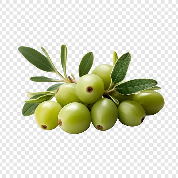 Gratis PSD verse caperberries geïsoleerd op transparante achtergrond