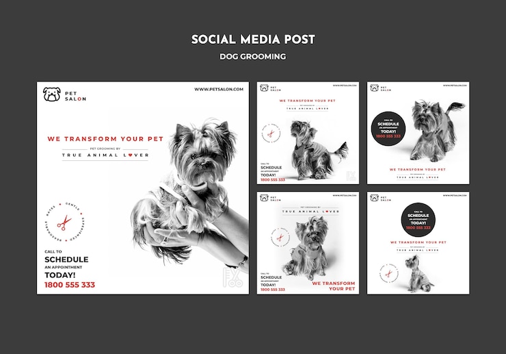 Gratis PSD verzameling instagram-berichten voor een bedrijf voor huisdierenverzorging