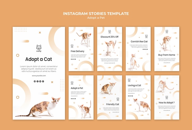 Verzameling van Instagram-verhalen voor het adopteren van een huisdier
