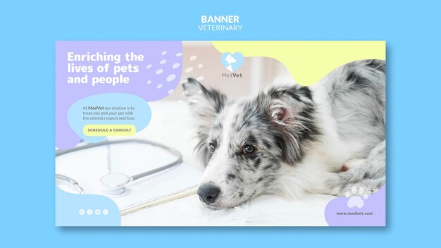 Veterinaire kliniek sjabloon banner