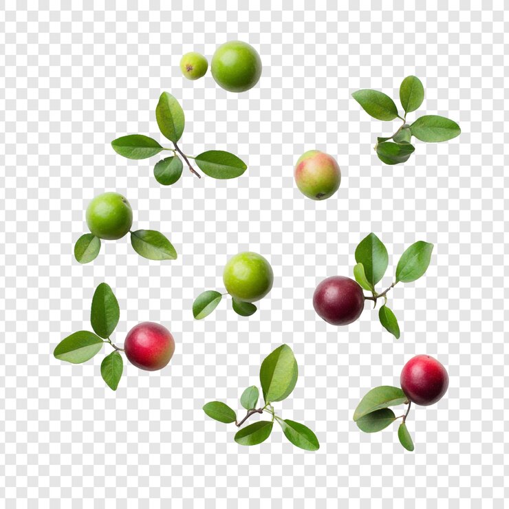 PSD Gratis vibrant acerola cherries with lush green leaves a delightful still life