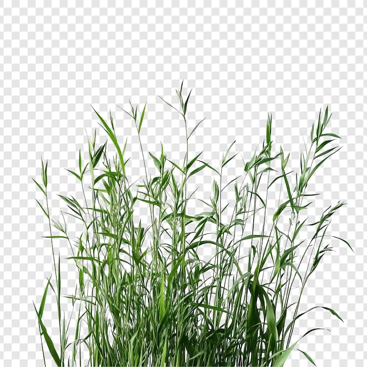 PSD Gratis vibrant green grass cluster a natures tapestry