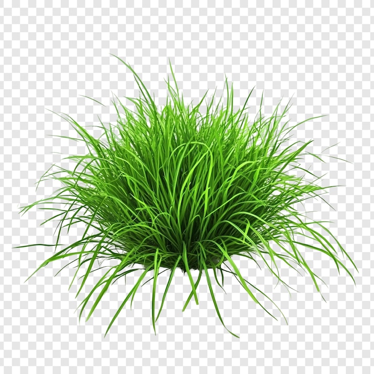PSD Gratis vibrant green grass tuft lush foliage isolated on transparent background