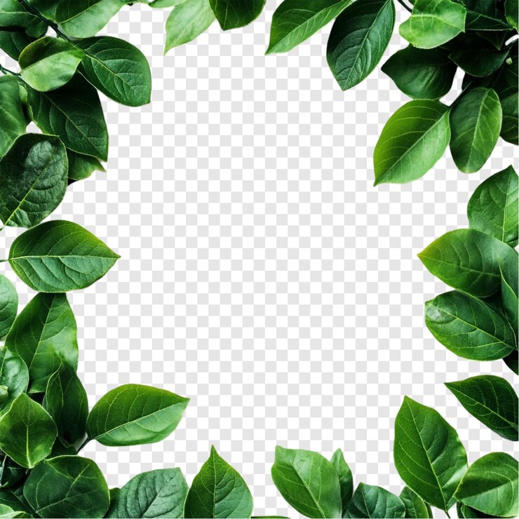 PSD gratuito vibrant green leaf border frame natures embrace perfetto per i progetti di progettazione