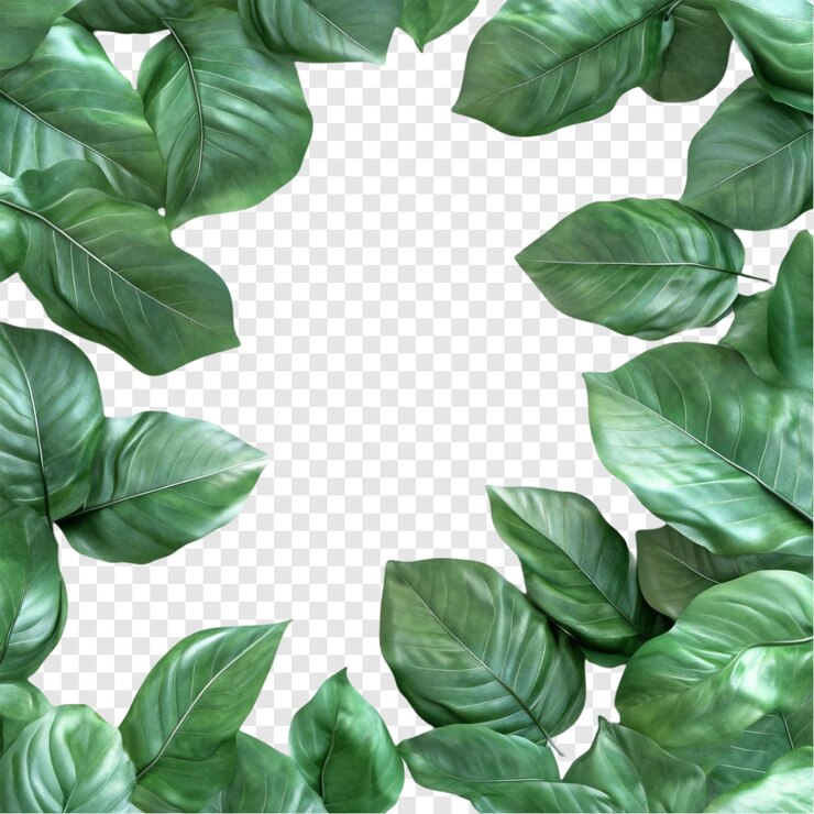 PSD Gratis vibrant green leaves frame natures artistic border
