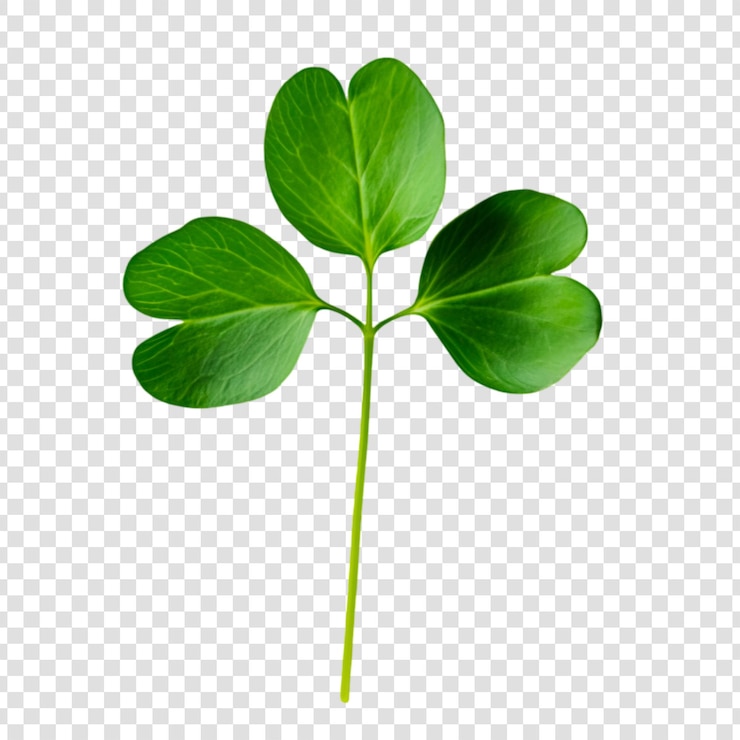 PSD Gratis vibrant heartshaped green leaves isolated on a transparent background