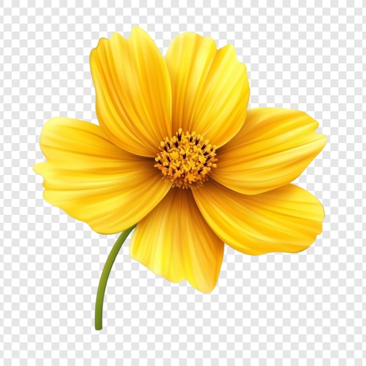 PSD gratuito la vibrante flor amarilla del cosmos un primer plano de la belleza de la naturaleza