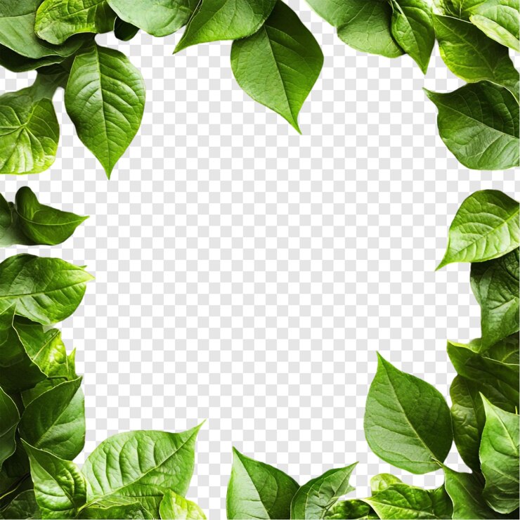 PSD gratuito vibrante foglia verde confine cornice natura abbracciare