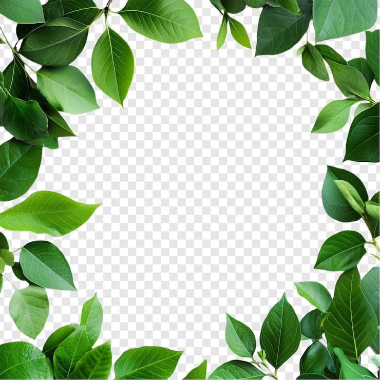PSD gratuito vibranti foglie verdi cornice natura confine perfetto