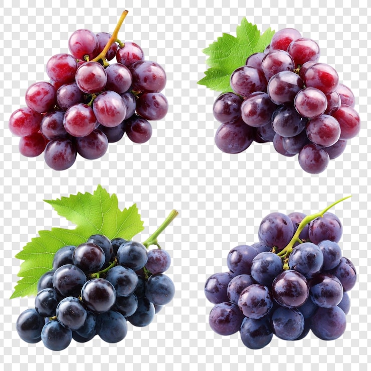 PSD gratuito vibranti grappoli di uva rossa e scura frutta fresca e succosa natura morta