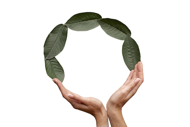Visione delle mani sostenibili con la natura