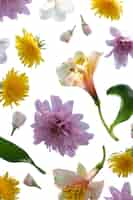 PSD gratuito vista de la hermosa flor de lirio floreciente