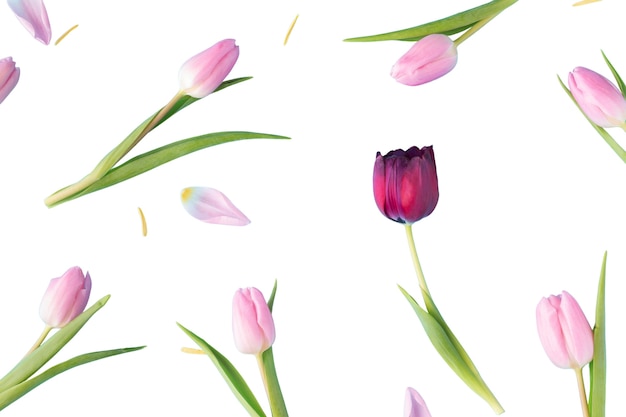 Vista de las hermosas flores en flor