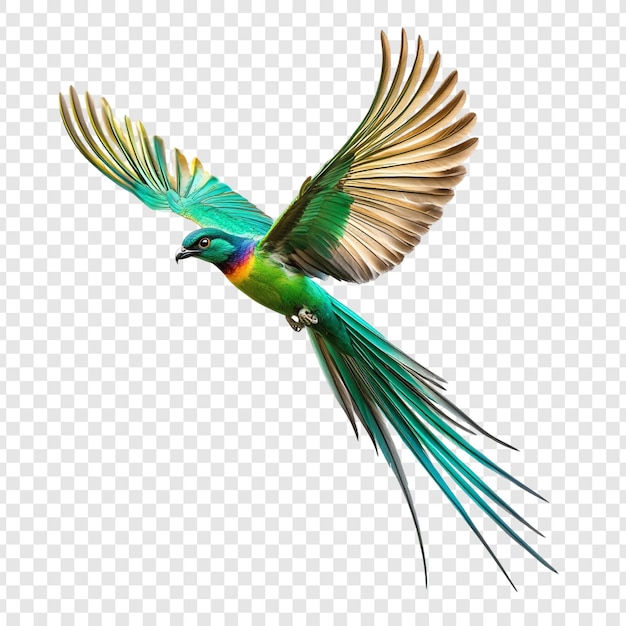 El vuelo espectacular de un pájaro verde vivo