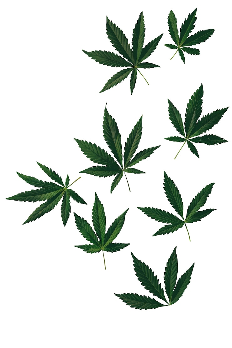 Gratis PSD weed bladeren patroon
