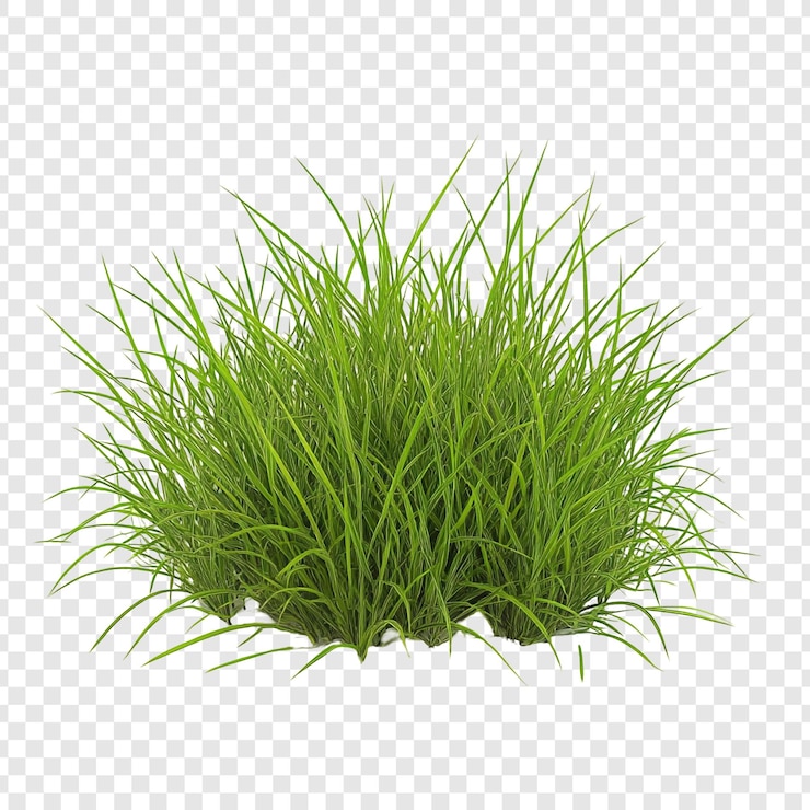 Gratis PSD weelderig groen gras geïsoleerd op een doorzichtige achtergrond