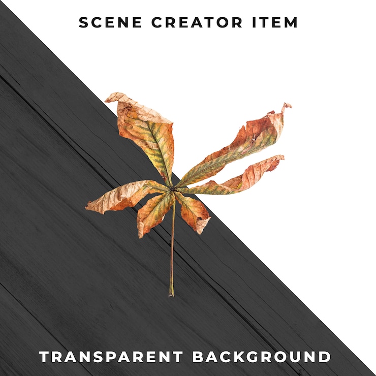 PSD Gratis wood leaf transparent psd