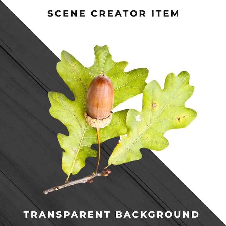 PSD Gratis wood leaf transparent psd
