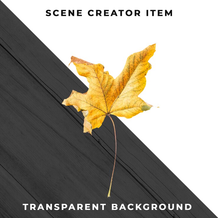 PSD Gratis wood leaf transparent psd