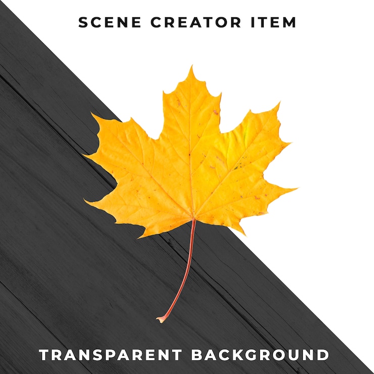 PSD Gratis wood leaf transparent psd