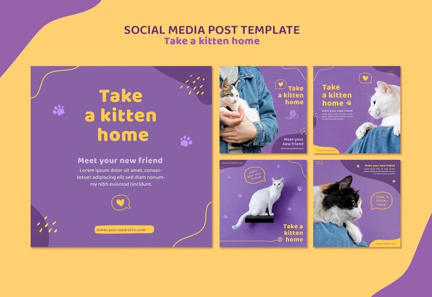 Adoptez un modèle de publication de chaton sur les réseaux sociaux