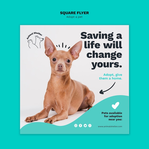 Adoptez un style de flyer carré pour animaux de compagnie