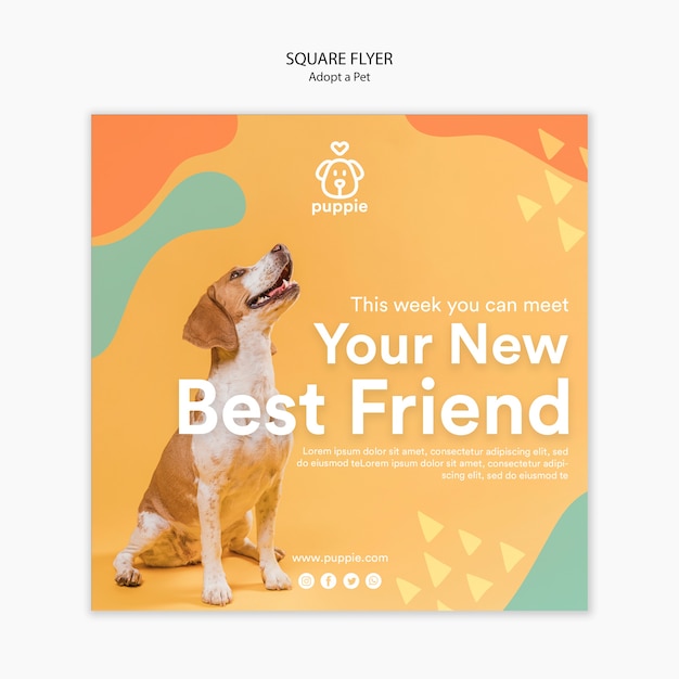 PSD gratuit adoptez un style de flyer carré pour animaux de compagnie