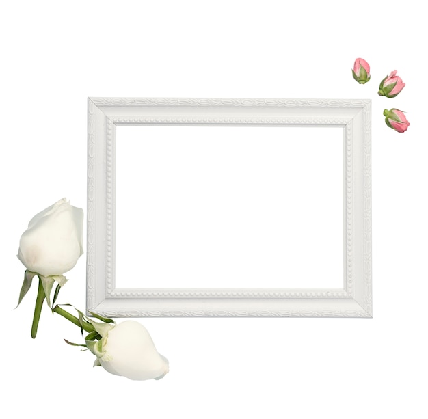 Arrangement floral isolé sur fond blanc