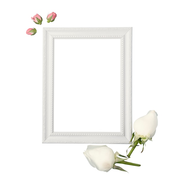 Arrangement floral isolé sur fond blanc