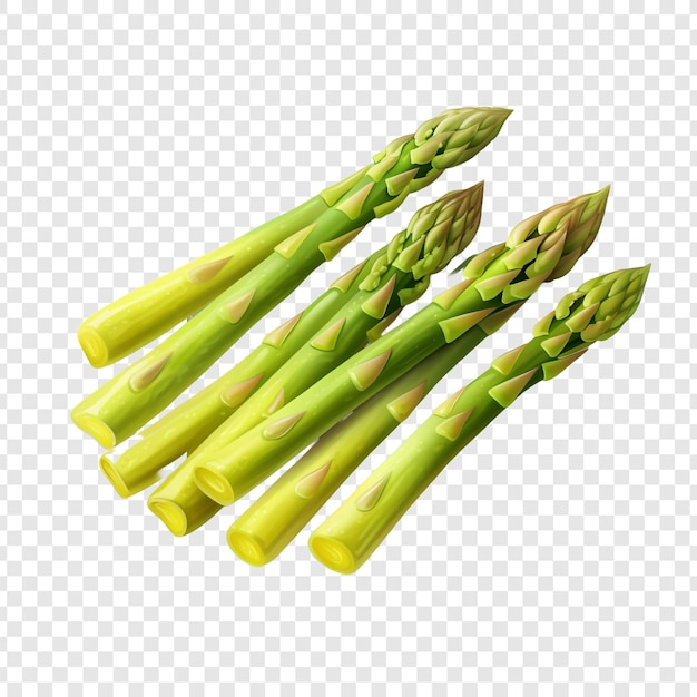 PSD gratuit asperges isolées sur un fond transparent