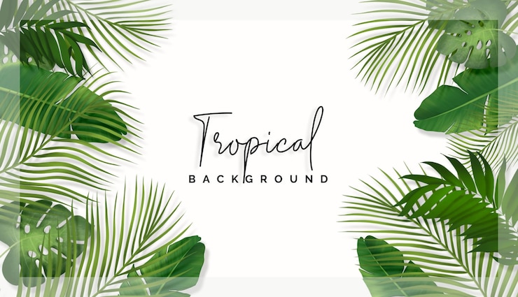 PSD gratuit belles feuilles tropicales en arrière-plan