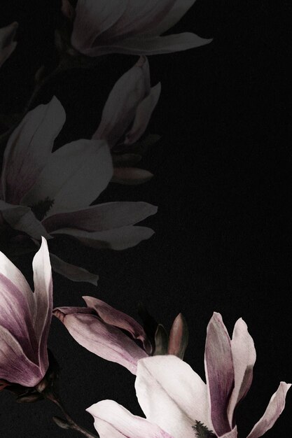 Bordure de magnolia psd fond de fleurs dramatiques