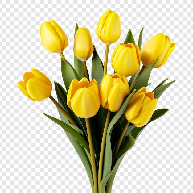PSD gratuit un bouquet de tulipes jaunes isolées sur un fond transparent
