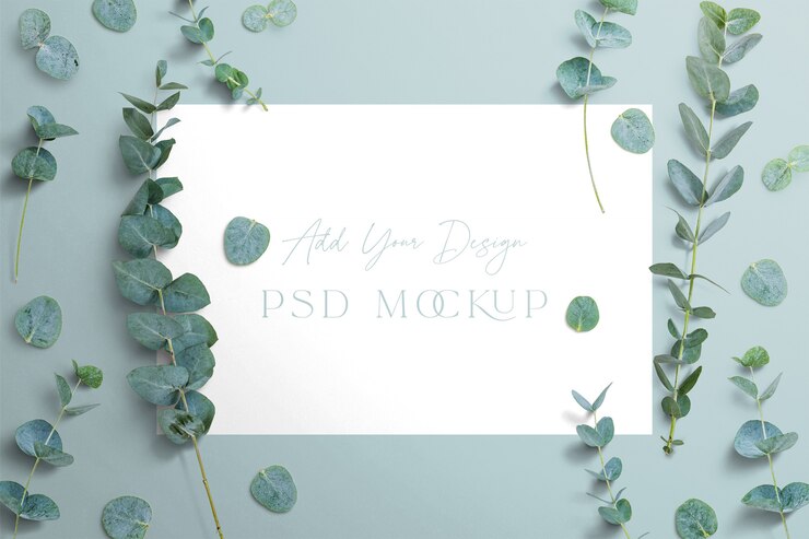 PSD gratuit branches d'eucalyptus avec modèle de signe