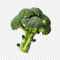 PSD gratuit brocoli frais isolé sur fond transparent