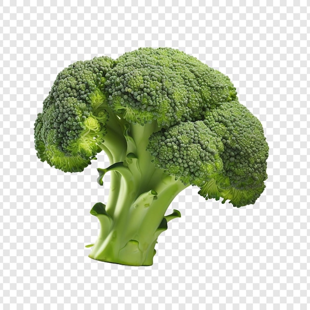 PSD gratuit brocoli frais isolé sur fond transparent