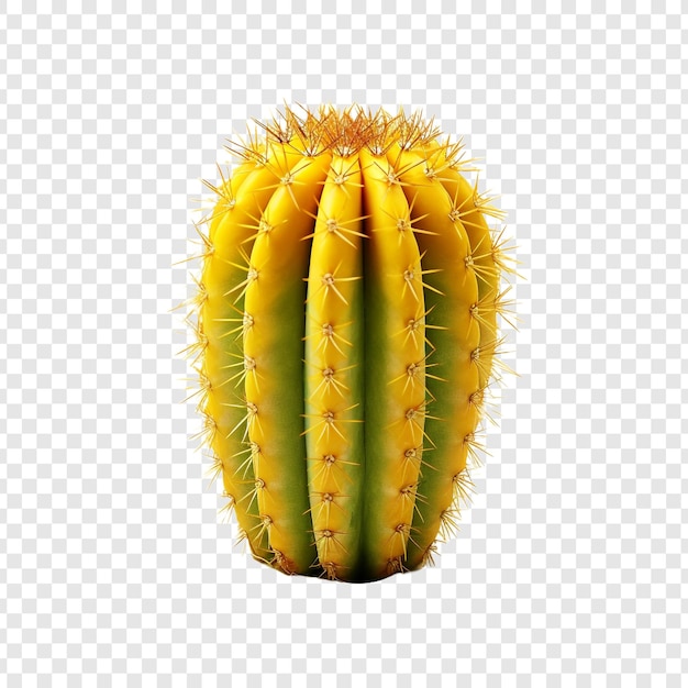 PSD gratuit un cactus jaune isolé sur un fond transparent