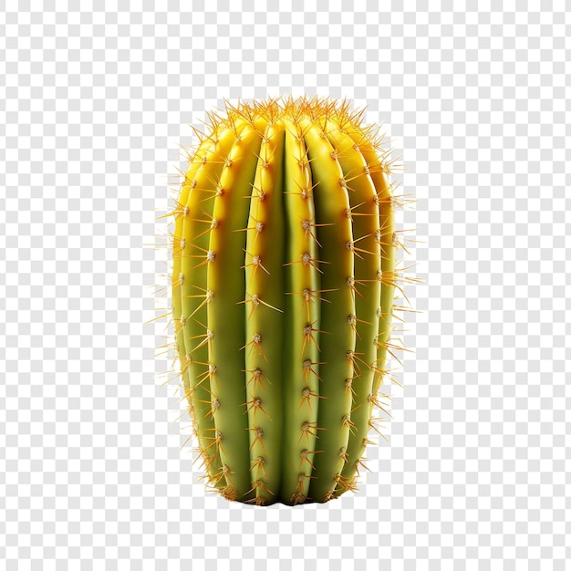 PSD gratuit un cactus jaune isolé sur un fond transparent