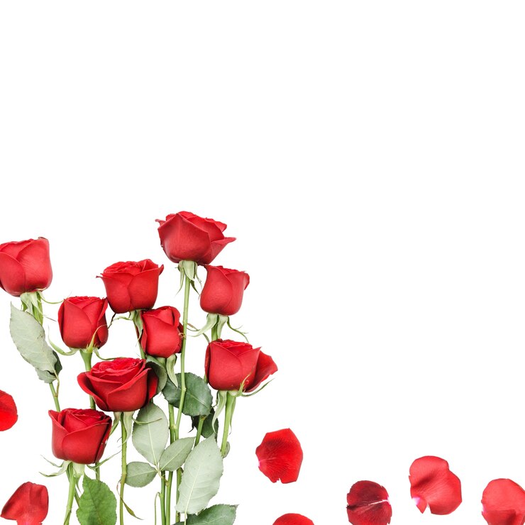 PSD gratuit cadre de fleurs isolé