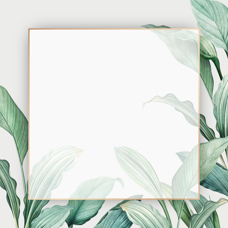 PSD gratuit carte paradis tropical