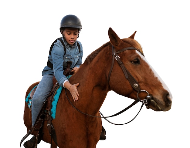 Cheval prêt à l'équitation isolé