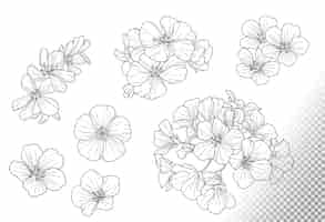 PSD gratuit collection de belles fleurs doodles