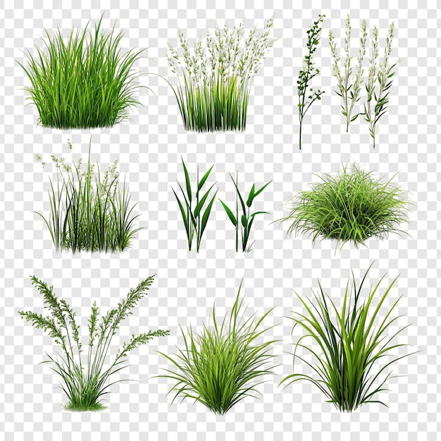 Collection de divers rendus 3D d'herbe et de mauvaises herbes idéaux pour la conception de paysages et le développement de jeux