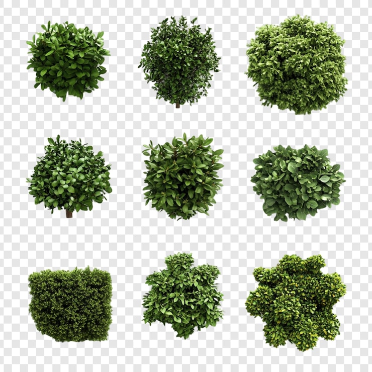 PSD gratuit une collection de neuf buissons verts luxuriants vue du haut isolée sur un fond transparent