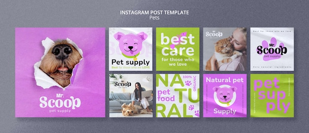PSD gratuit collection de publications instagram avec empreintes de pattes pour aliments pour animaux de compagnie