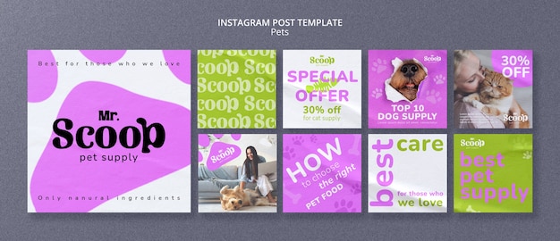 PSD gratuit collection de publications instagram avec empreintes de pattes pour aliments pour animaux de compagnie