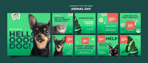 PSD gratuit collection de publications instagram de la journée des animaux avec des animaux